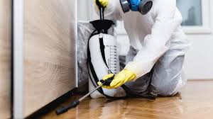 Best Residential Pest Control  in Morenci, MI